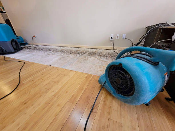 Professional Structural Drying technician working in Saint Peters, MO